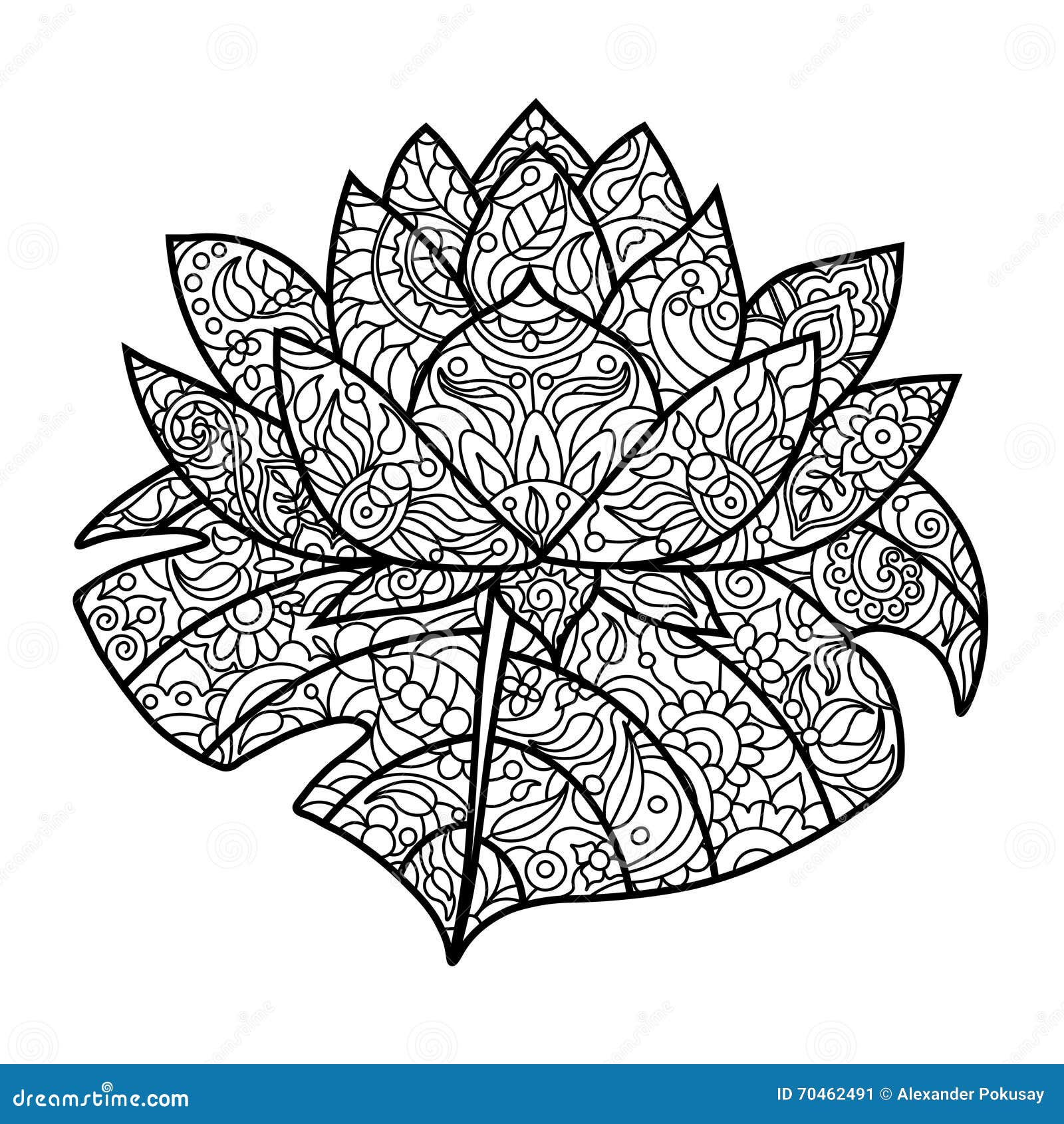 Lotus flower coloring book for adults vector stock vector
