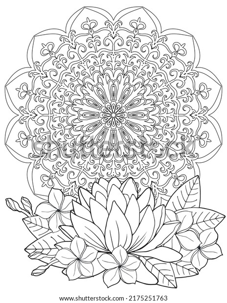 Lotus zentangle images stock photos d objects vectors
