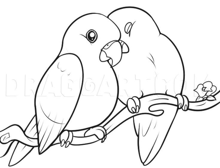 How to draw lovebirds step by step drawing guide by dawn dragoart love birds drawing bird drawings bird coloring pages