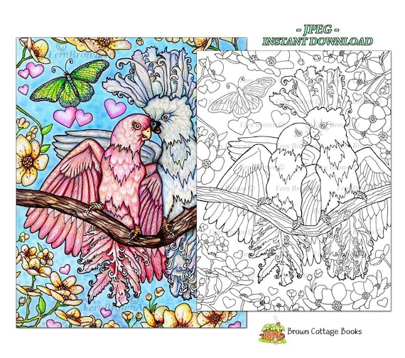 Bird coloring page instant download animals coloring printable line art love birds by fern brown hand