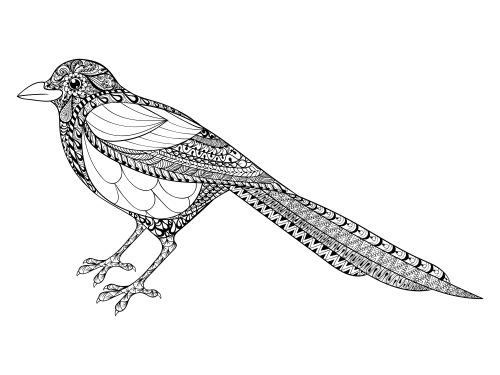Advanced bird coloring page