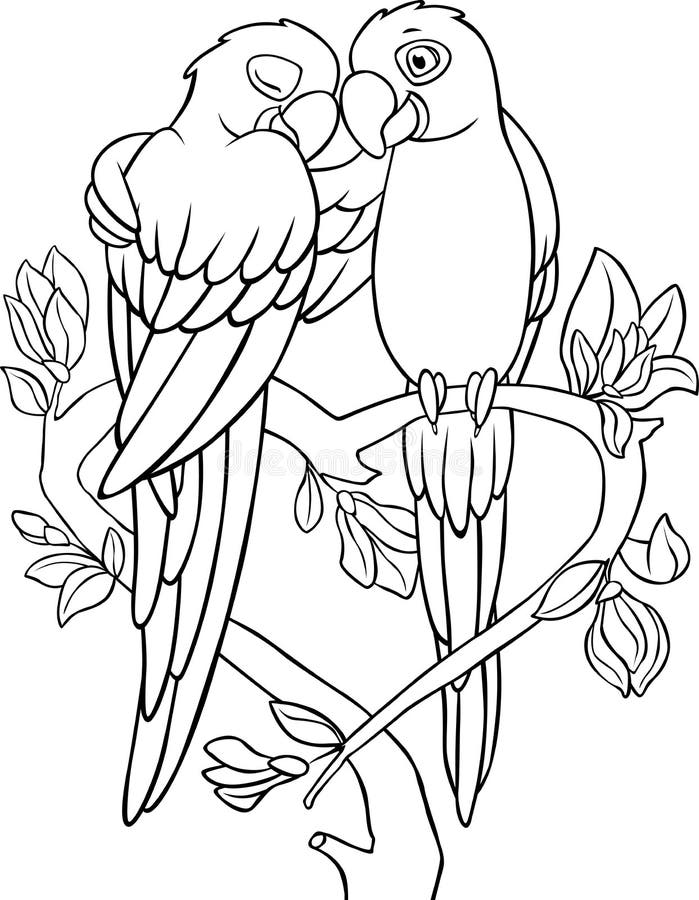 Coloring page two cute parrots blue macaw sits and smiles they are in love stock vector
