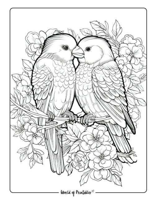 Bird coloring pages