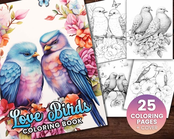 Bird love cute animal coloring page book adults kids instant download grayscale coloring page printable pdf birds beauty birds