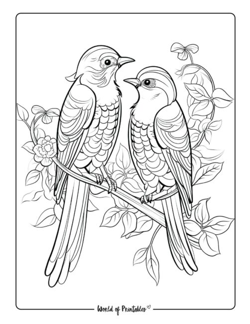 Bird coloring pages