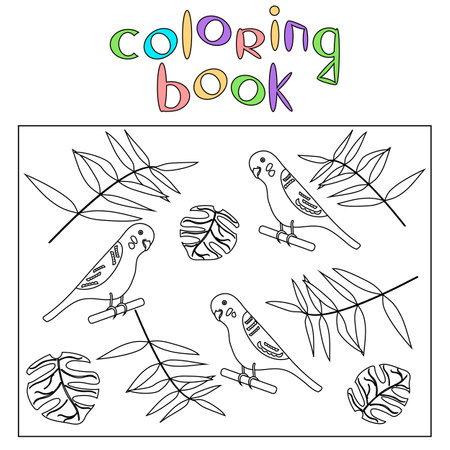 Lovebird colouring book stock illustrations cliparts and royalty free lovebird colouring book vectors