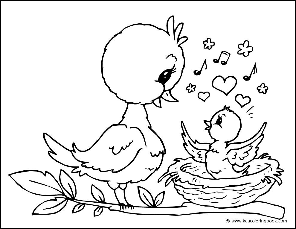 Chick and mother bird