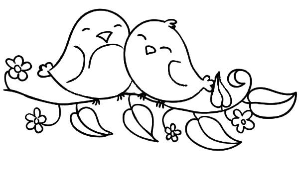 Free love birds books