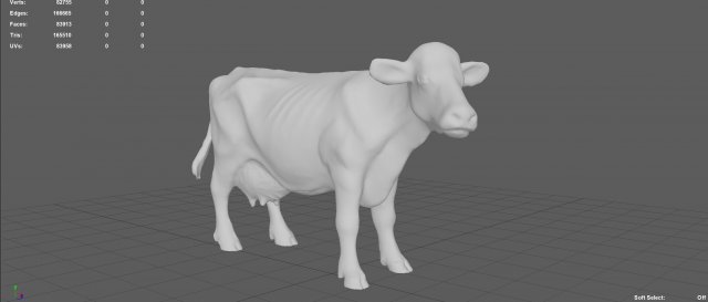 Realistic cow d model in cow