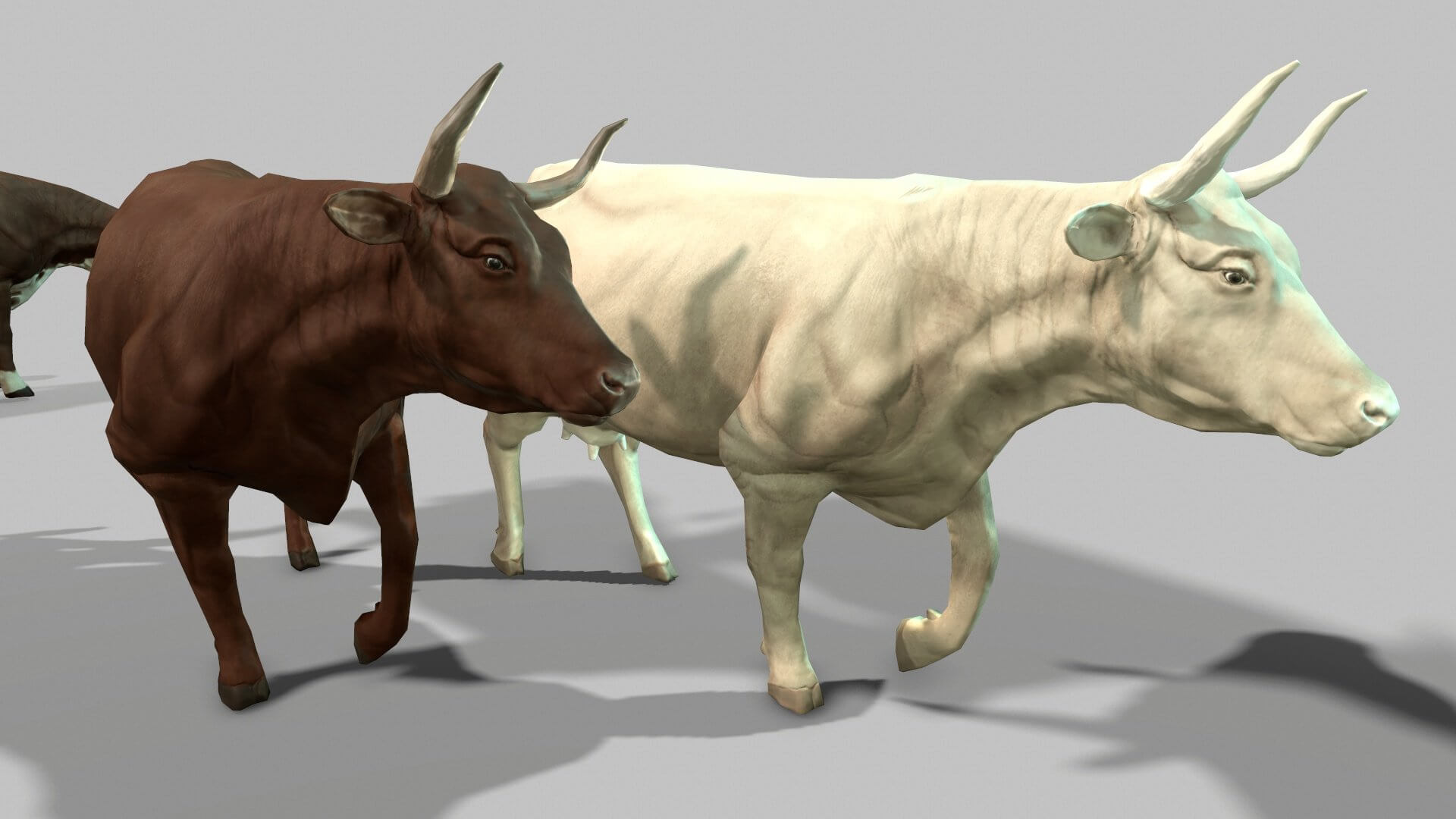 Animated cattle