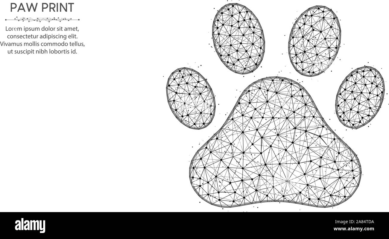 Pet footprints low poly design cat and dog animal paw abstract geometric art zoo wireframe mesh polygonal vector illustration made from points and l stock vector image art