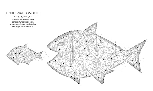 Big fish eat small low poly design predator and prey in polygonal style underwater world wire frame vector illustration on a white background stock illustration