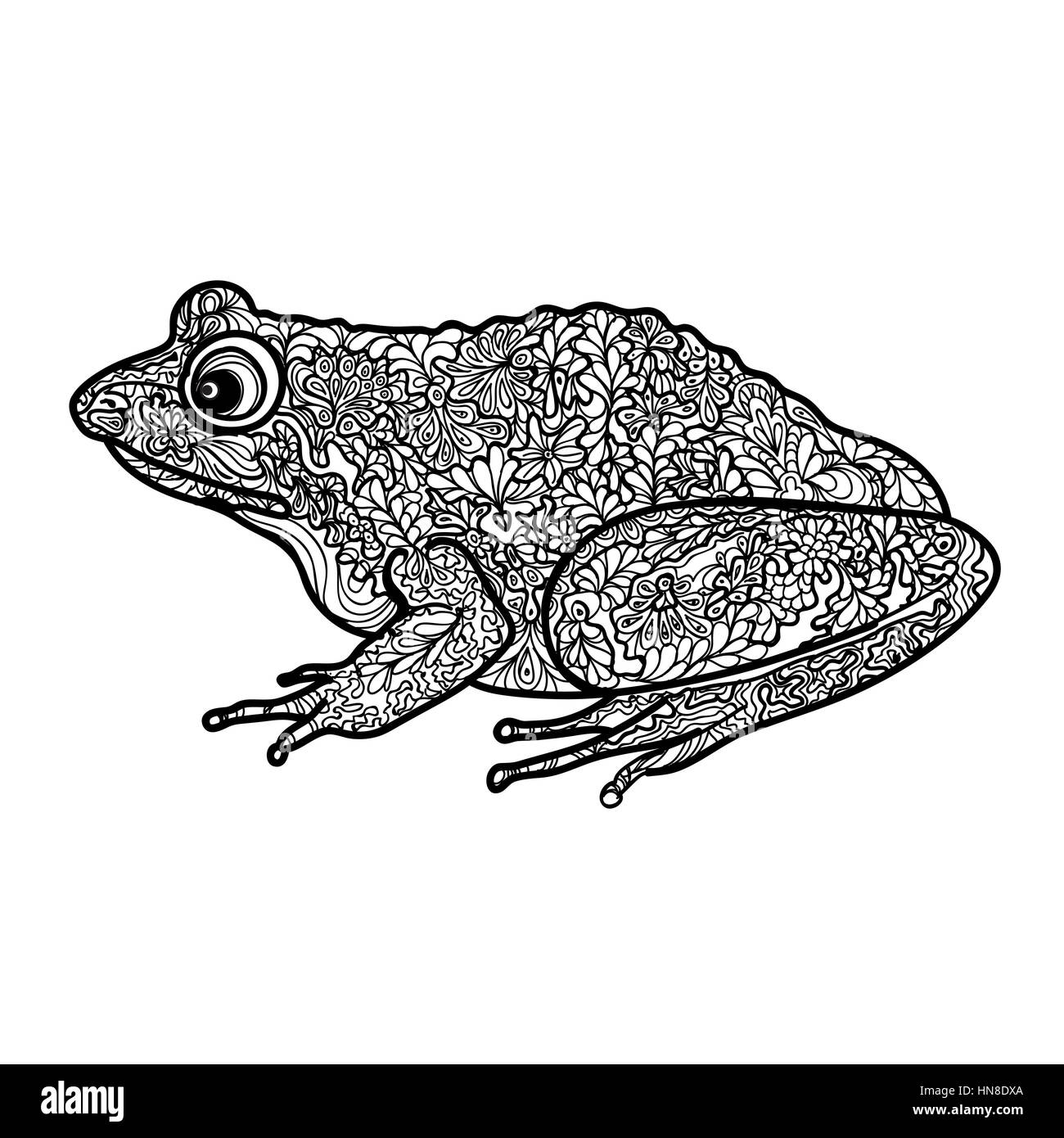 Frog sketch black and white stock photos images
