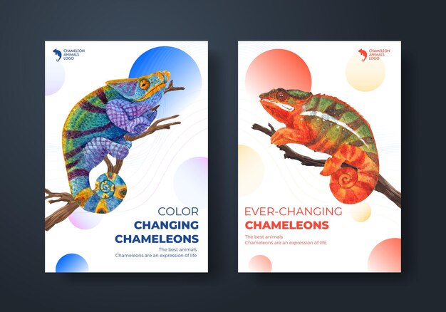 Page frog low poly vectors illustrations for free download