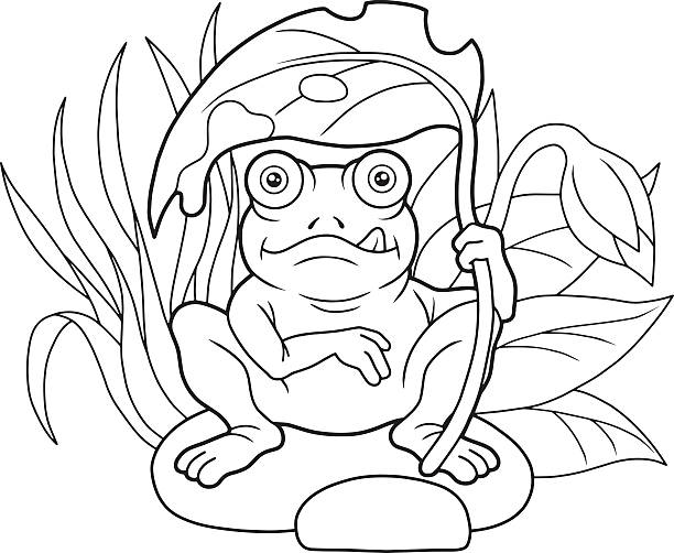 Frog outline background stock illustrations royalty