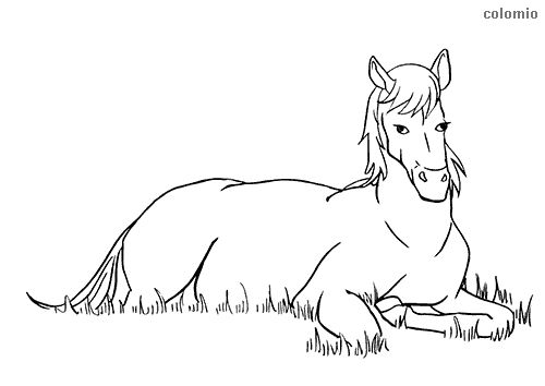 Horse lying down coloring page horse coloring pages horse coloring horses