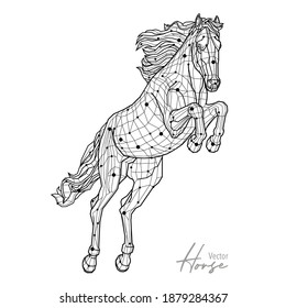 Jumping horse derbi equestrian events show arkivvektor royaltyfri