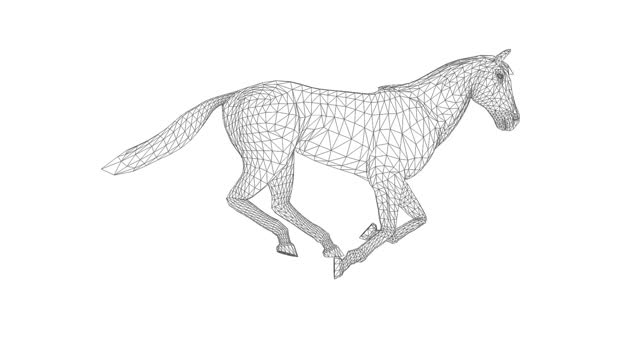Low poly animal stock videos and royalty