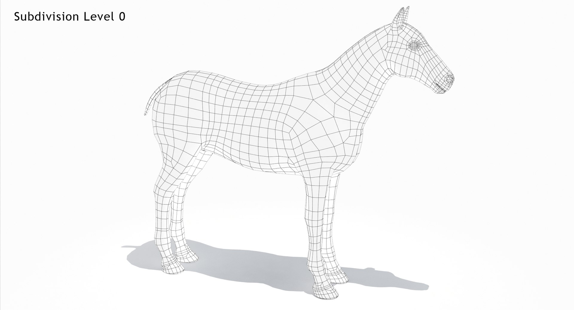 White horse d model