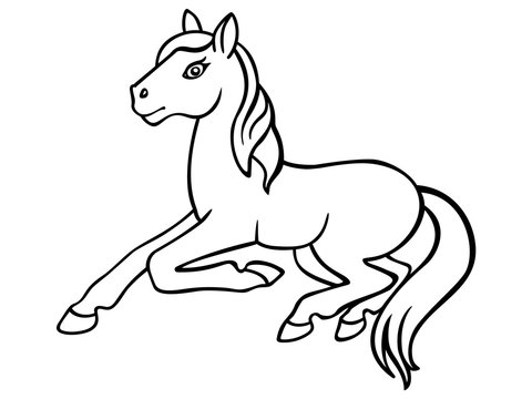 Foal little horse linear picture for coloring pony