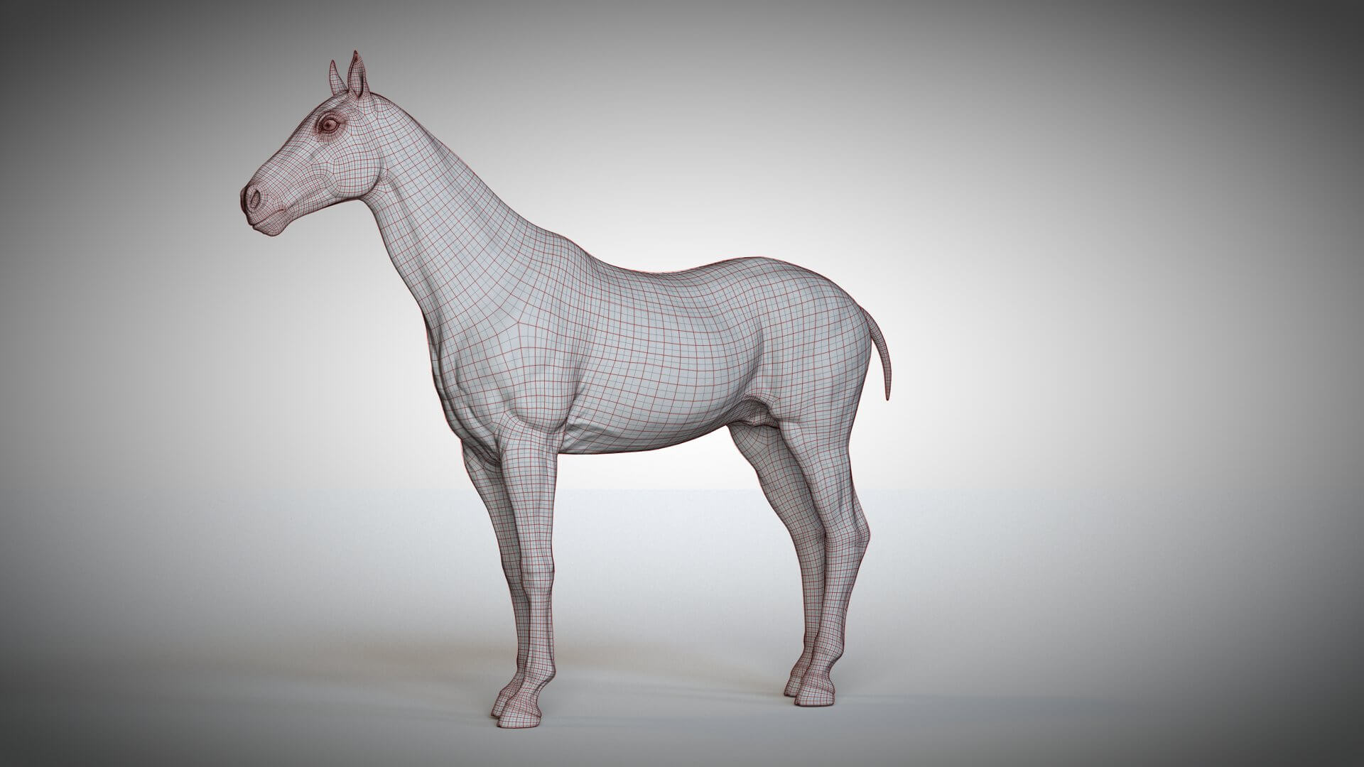 Rigged and animated stallion horse