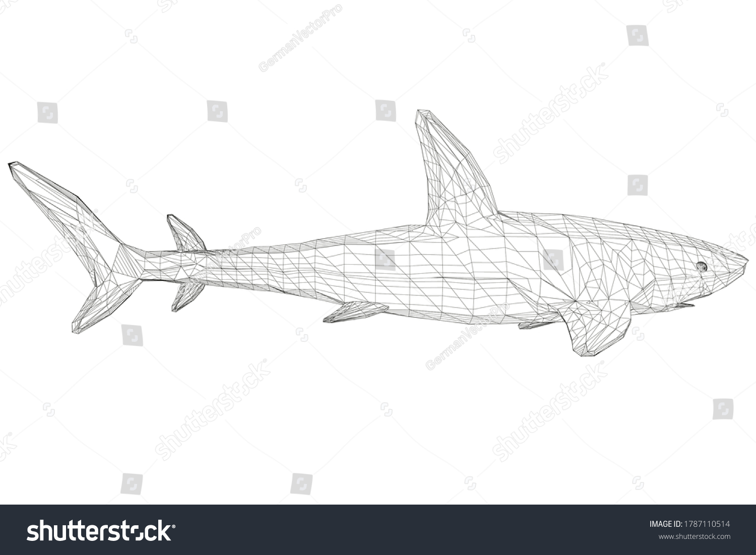 Wireframe low poly blue shark d stock vector royalty free