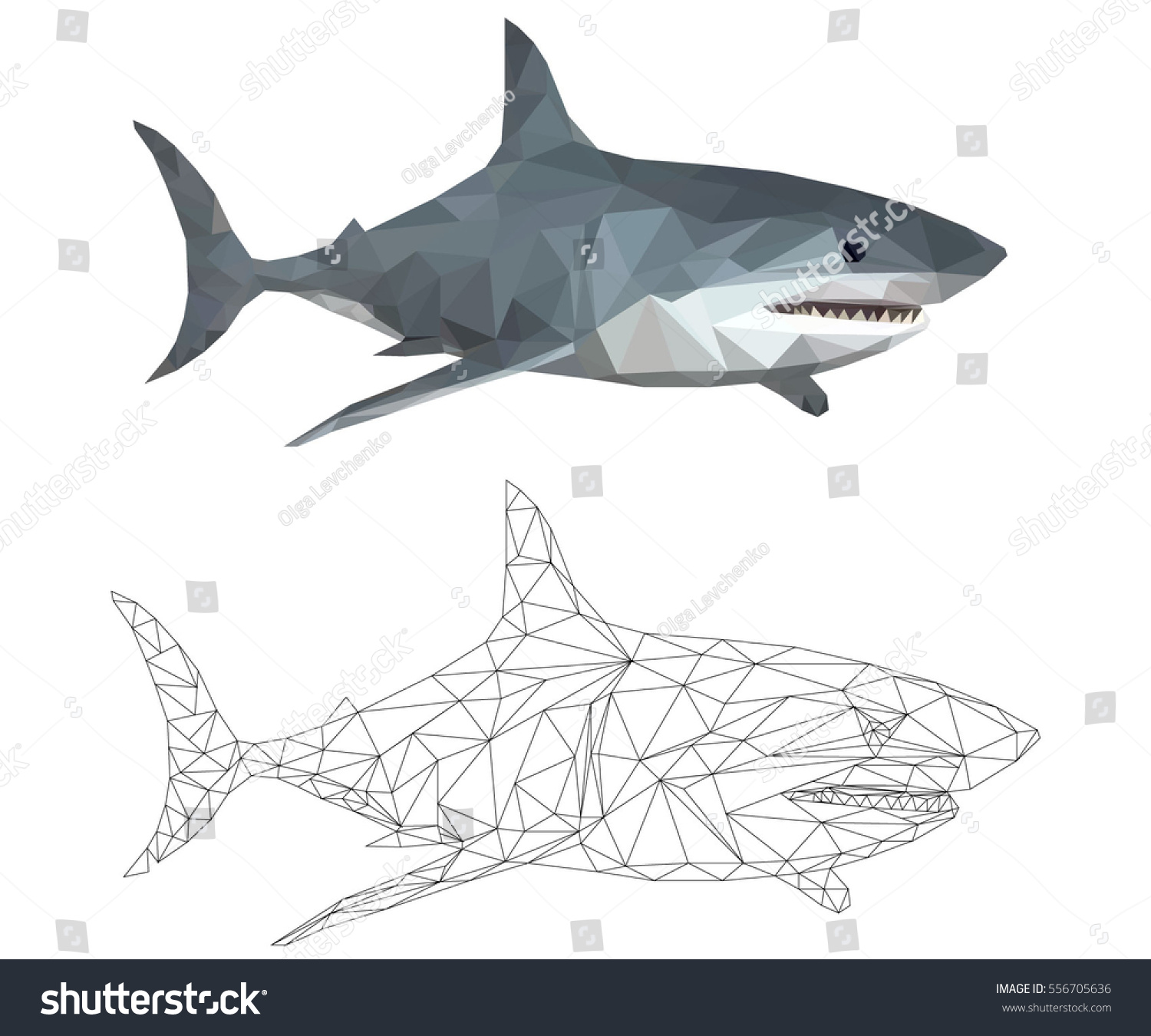 Shark low poly images stock photos d objects vectors