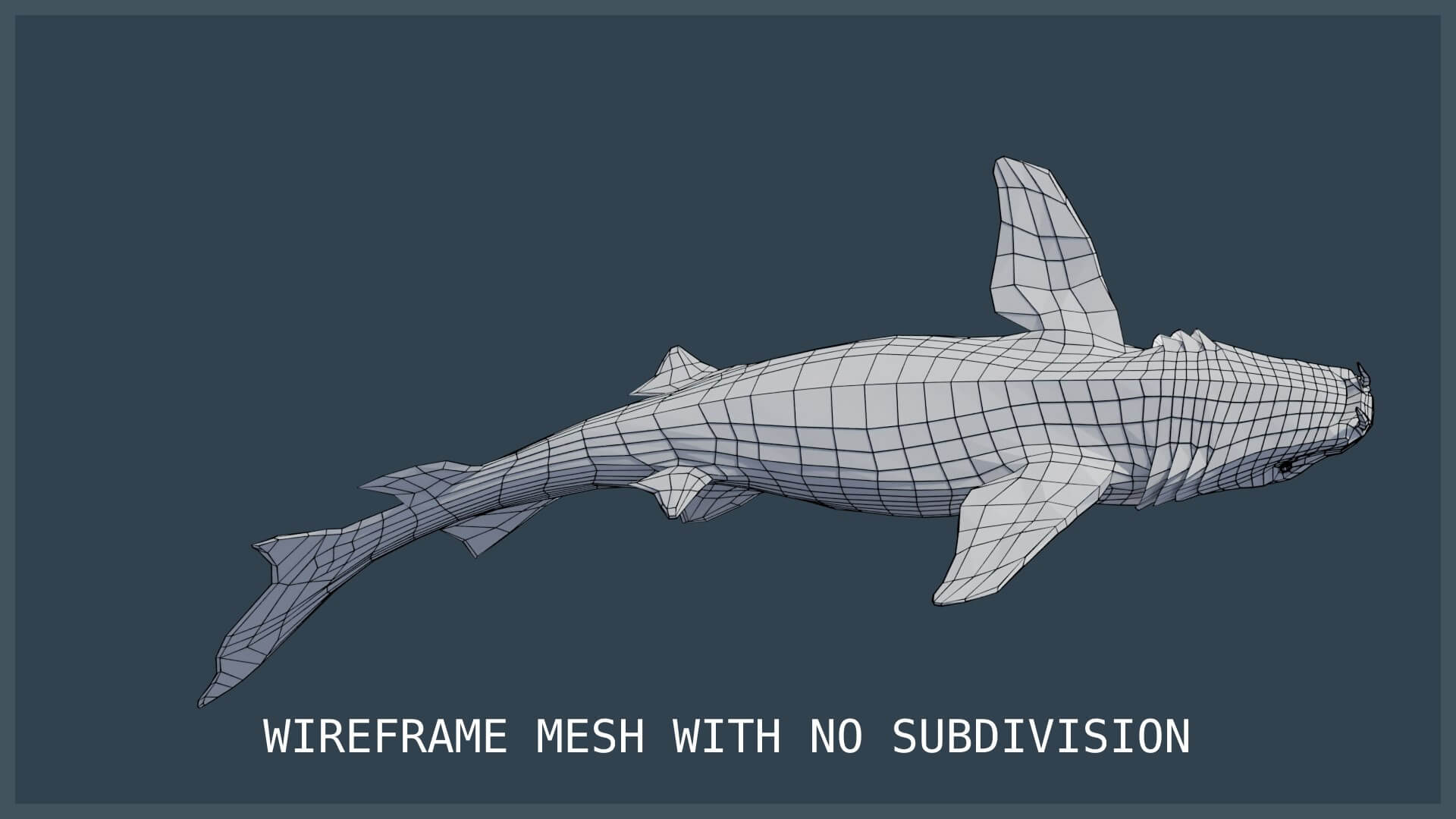 Animated nurse shark