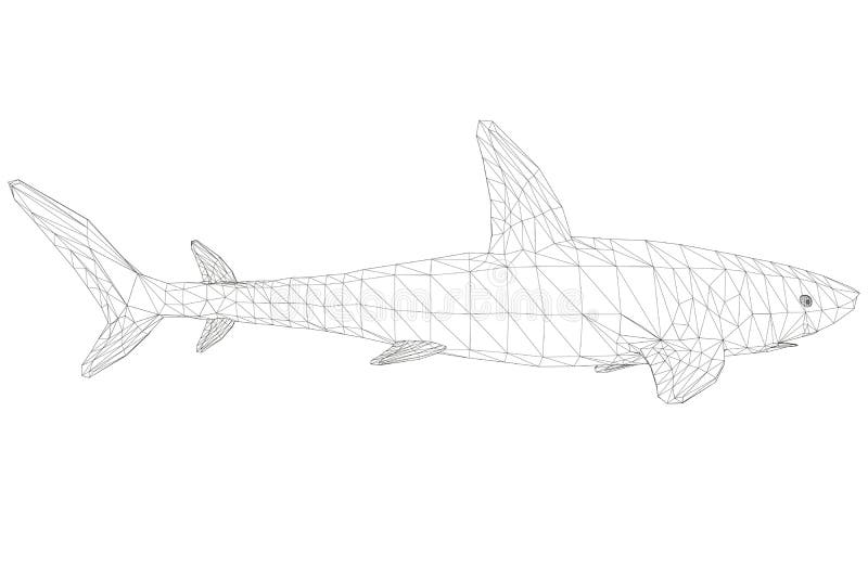 Low poly blue shark d front view stock vector