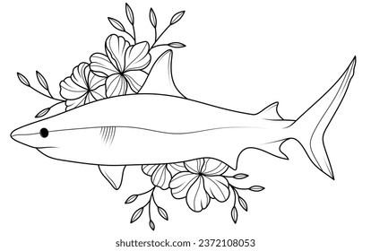 Shark outline images stock photos d objects vectors