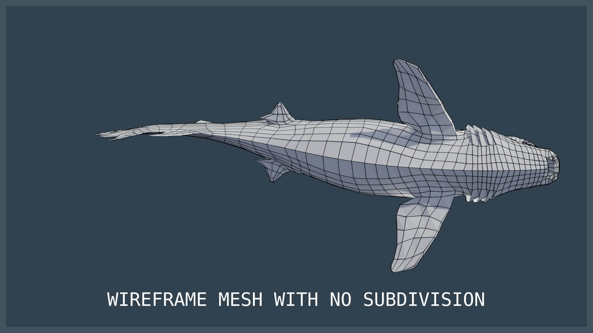 Animated nurse shark