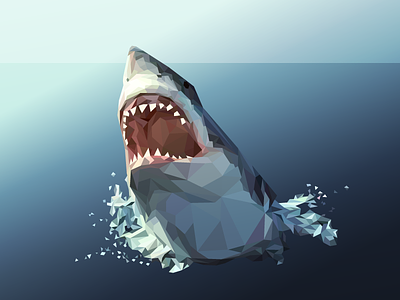 Low poly shark by aiden guinnip on