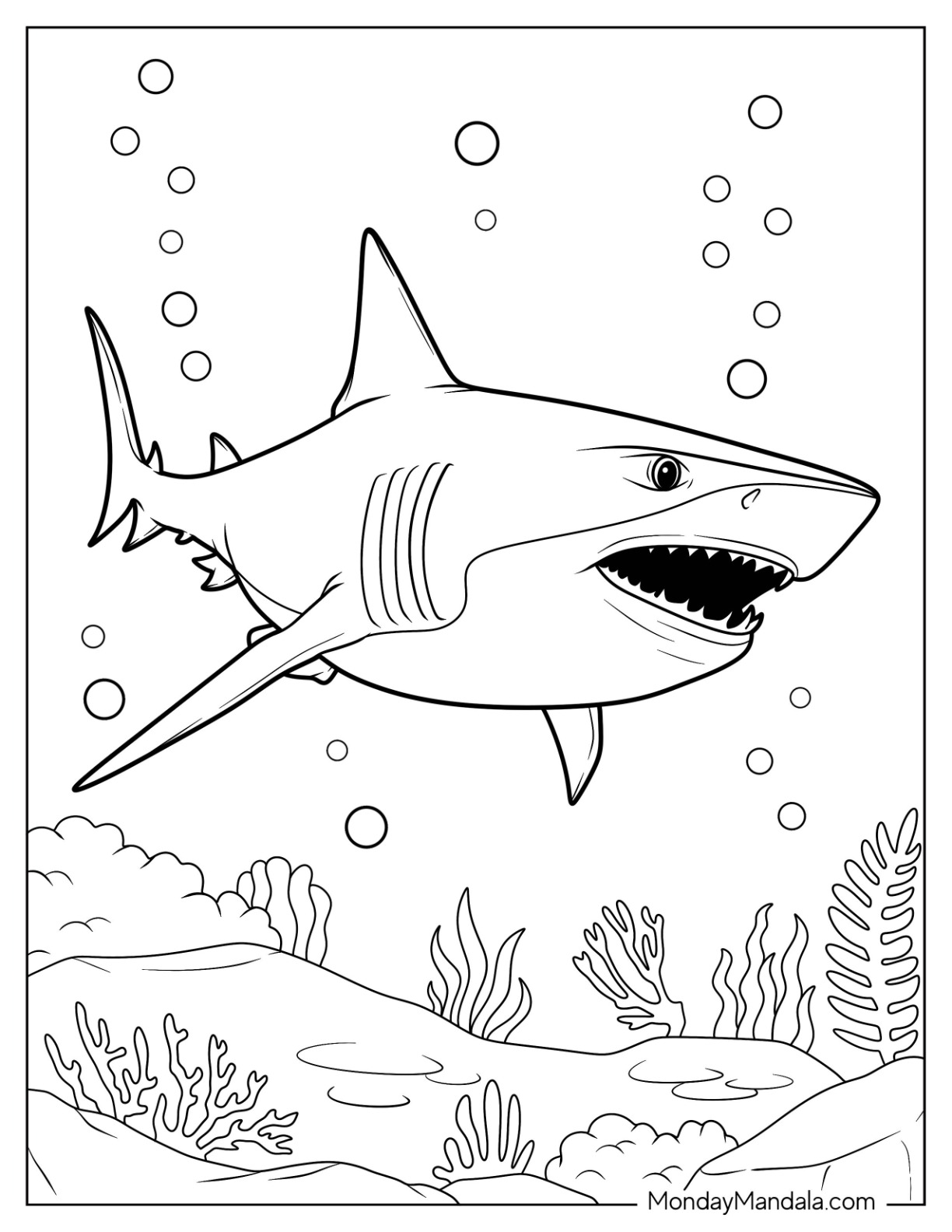 Shark coloring pages free pdf printables