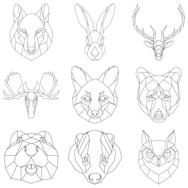 Low poly wolf head stock illustrations royalty