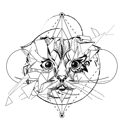 Wolf head lowpoly sketch stock illustration