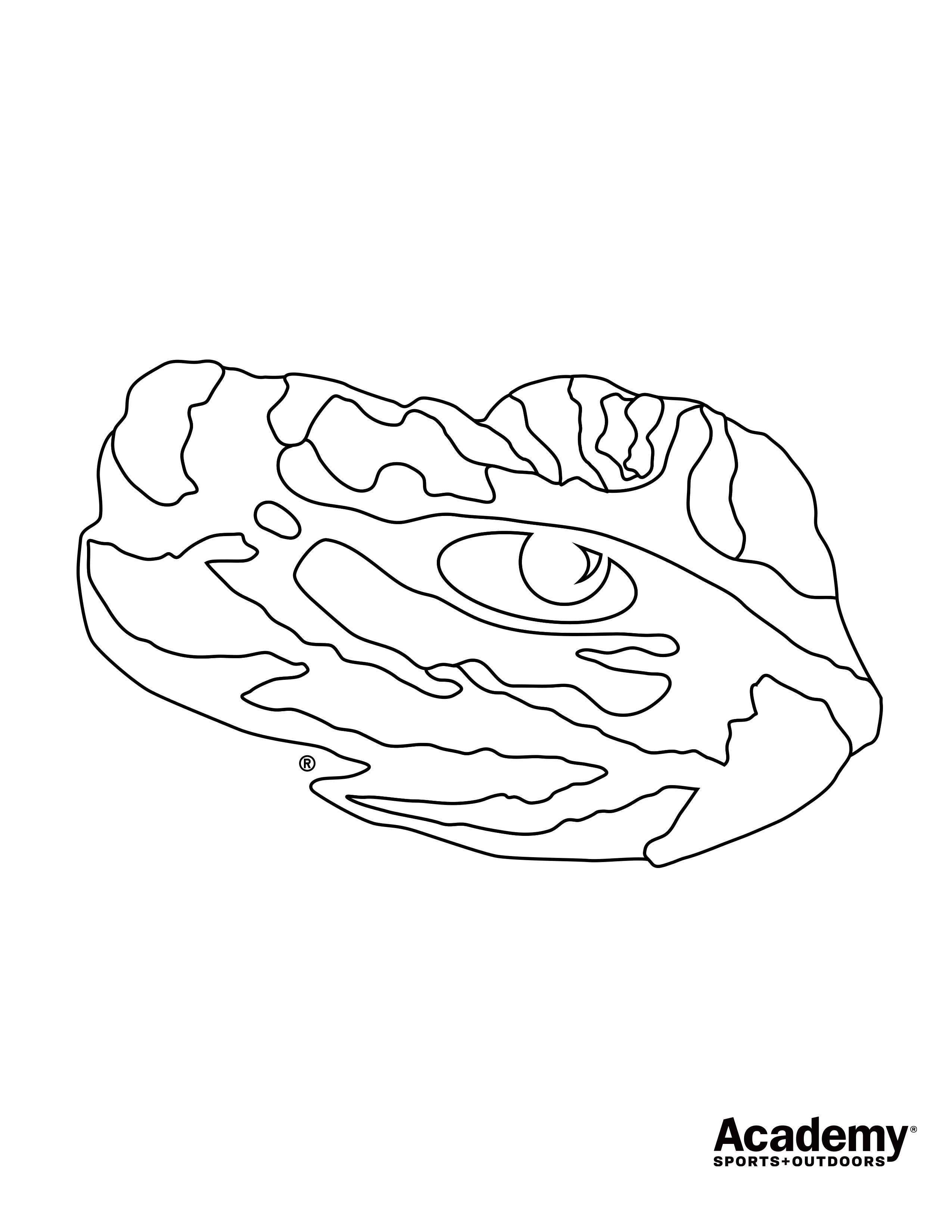 Lsu tigers on x print out your coloring sheets and tweet us your masterpiece ðhttpstcozszzhxpjeb httpstcohjgajsdo x