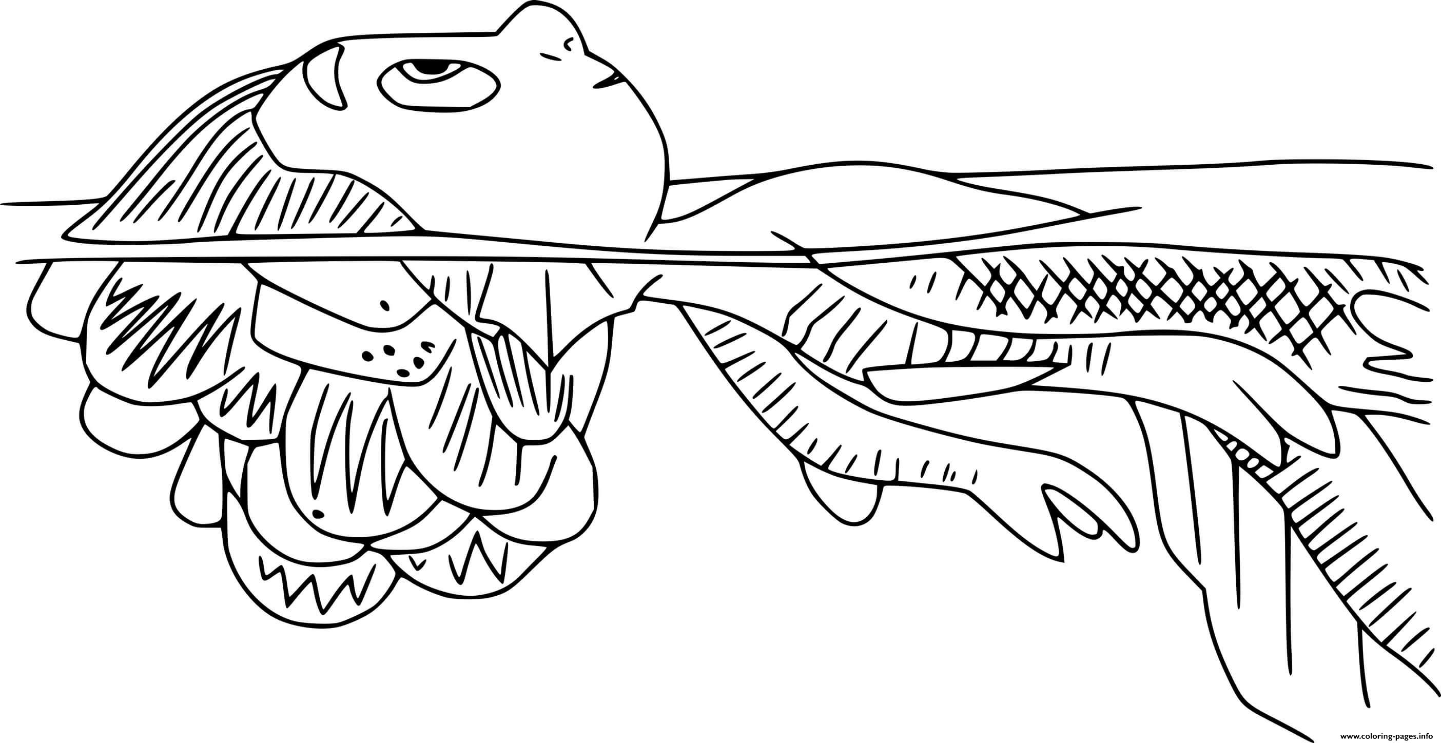 Luca paguro backstroking coloring page printable