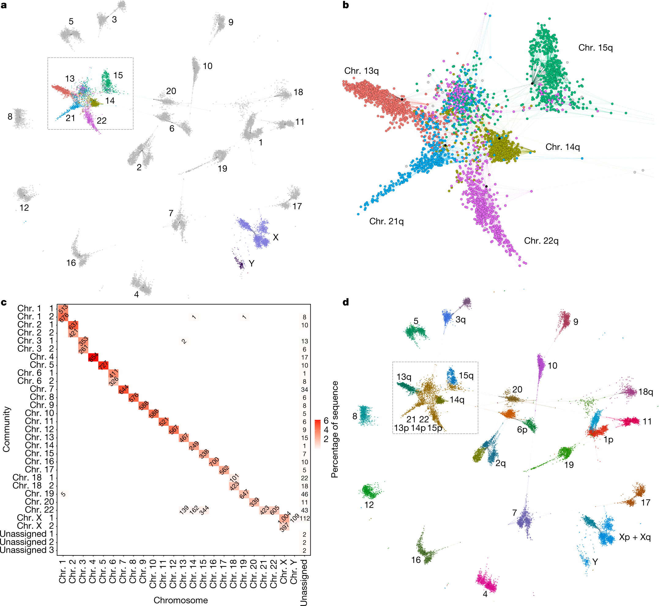 Rebination between heterologous human acrocentric chromosomes