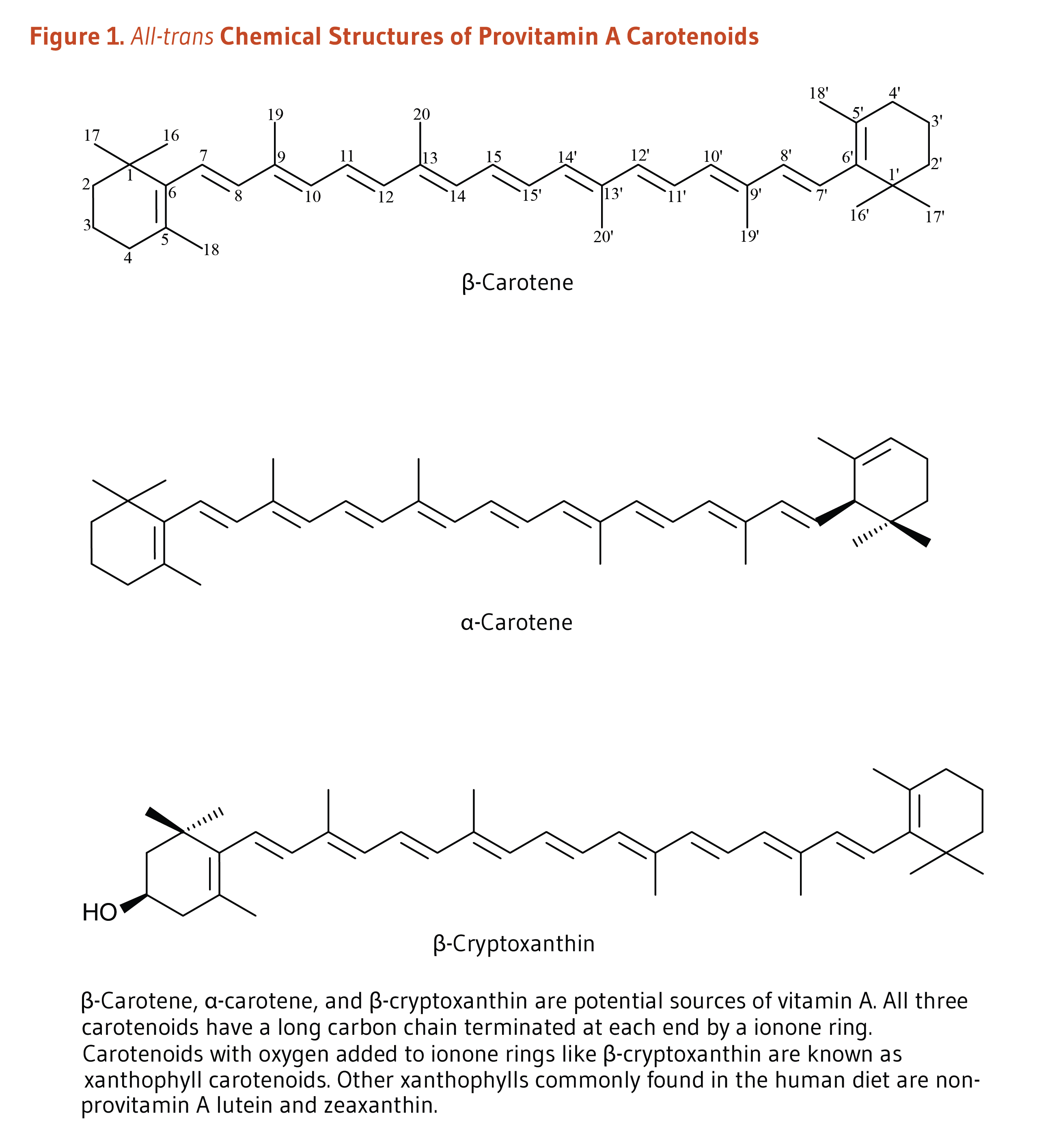 Phytochemicals