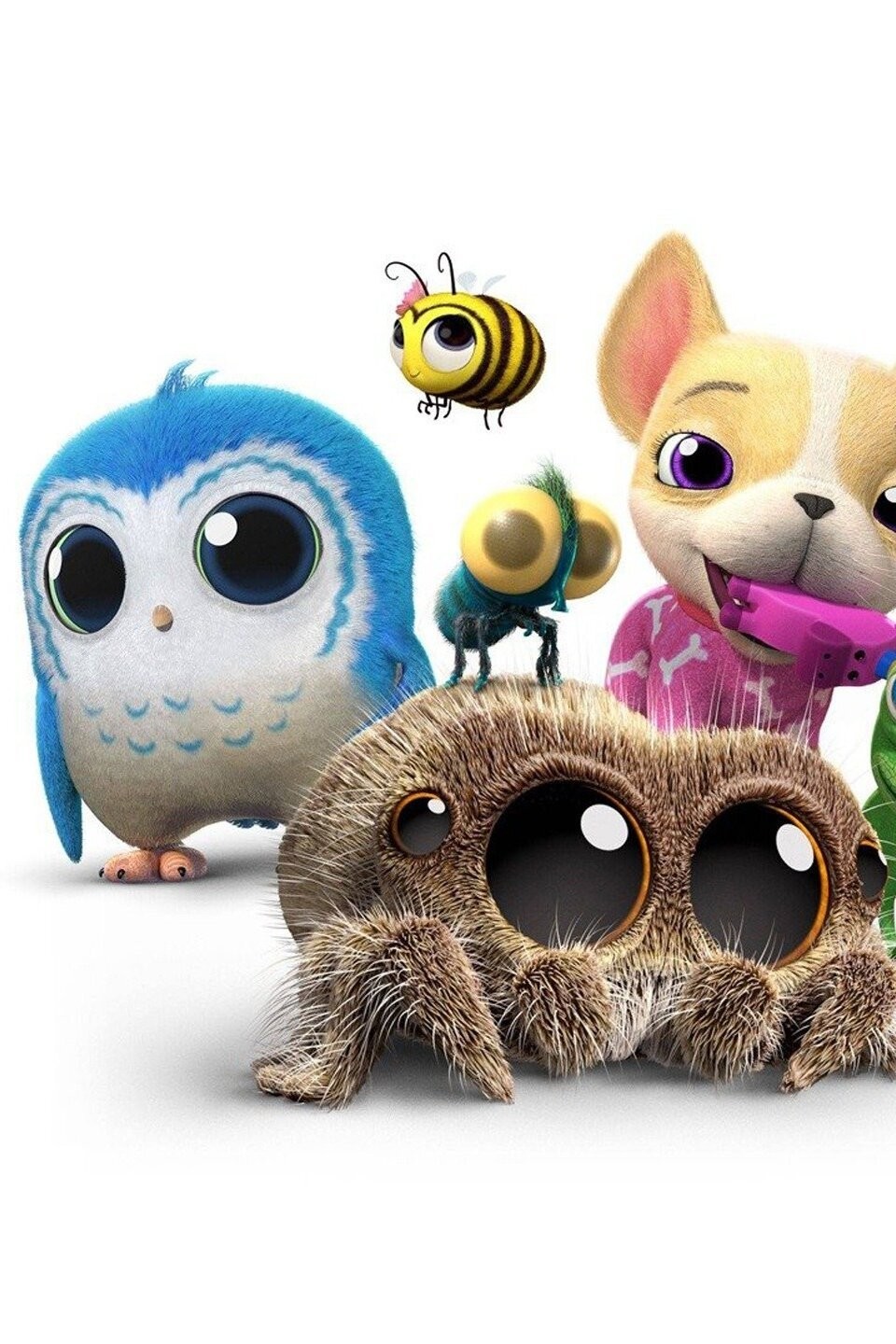 Lucas the spider
