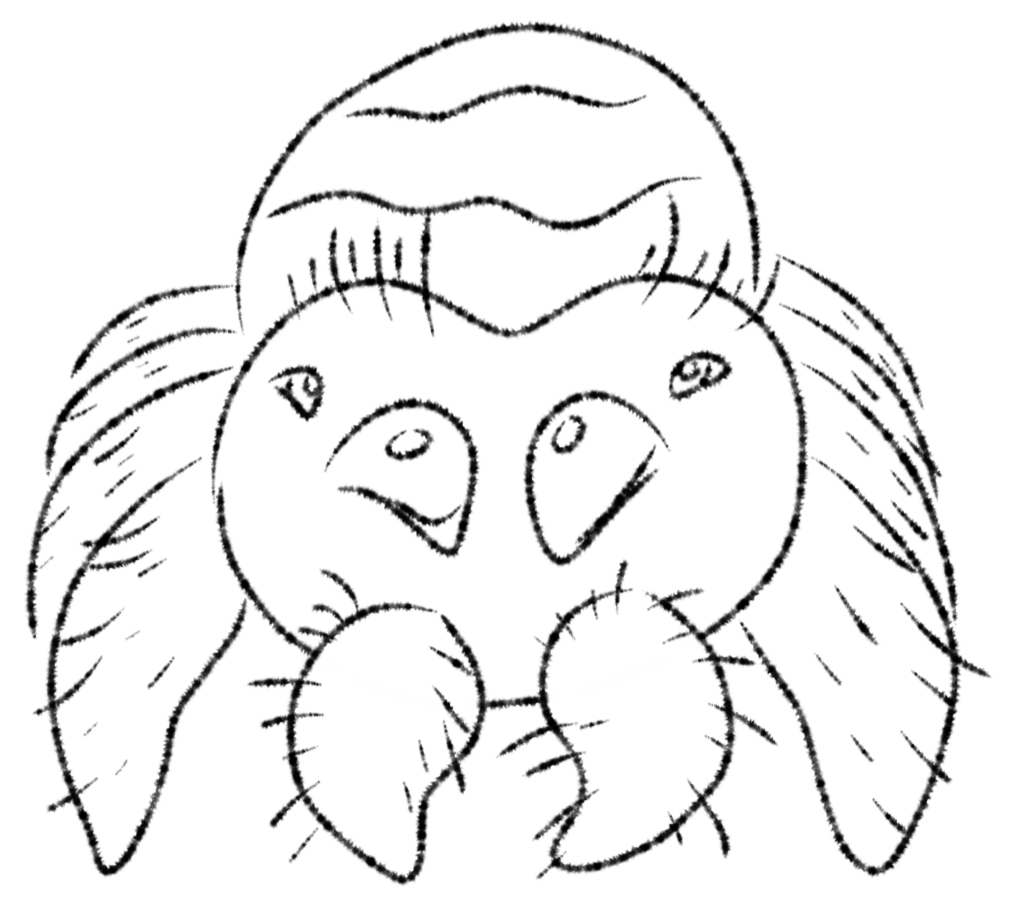 Lucas the spider doodle â