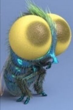 Findley lucas the spider wiki