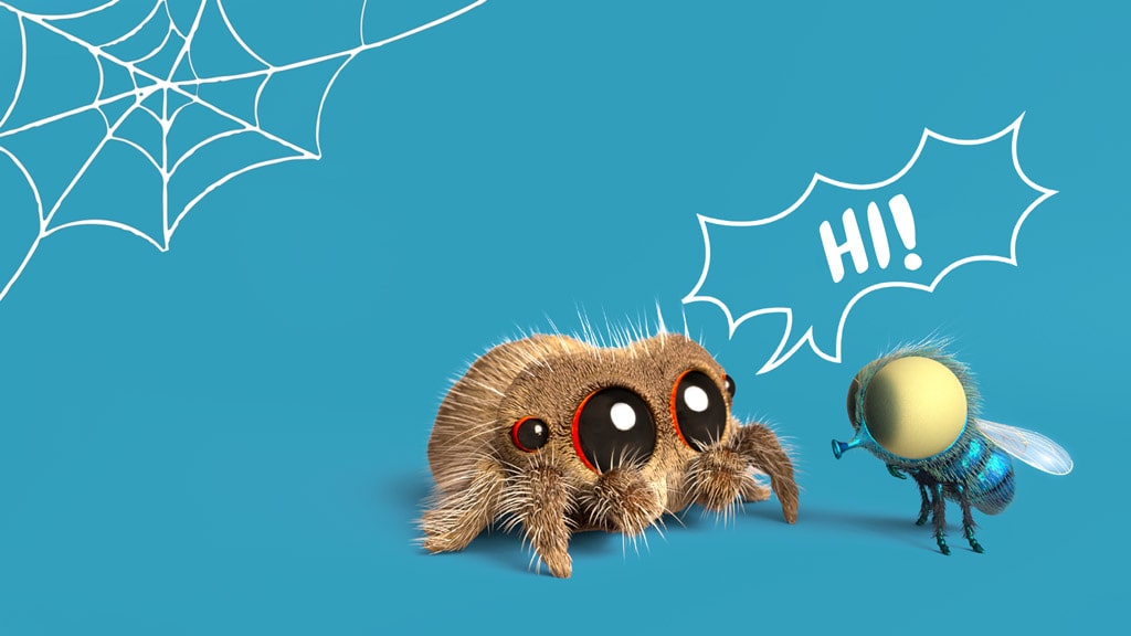 Lucas the spider store