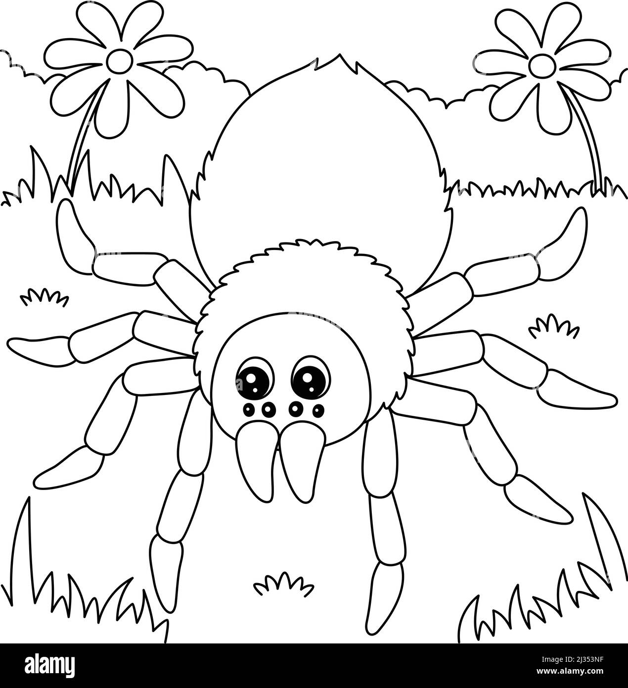 Colour spider cut out stock images pictures