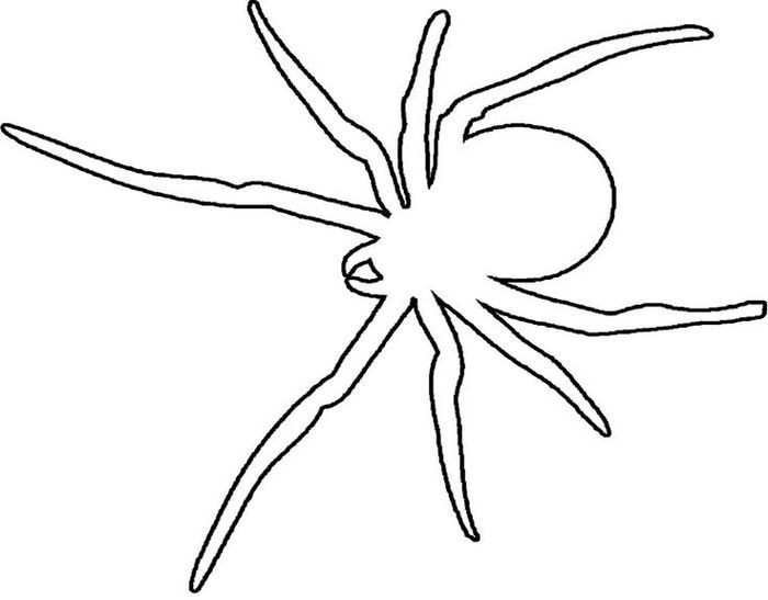 Spider printable coloring pages spider coloring page animal coloring pages spider pictures