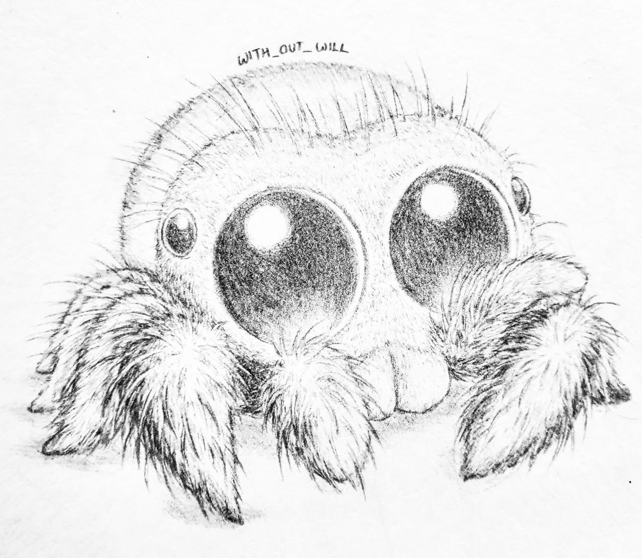 Lucas the spider by listlessscrawls on