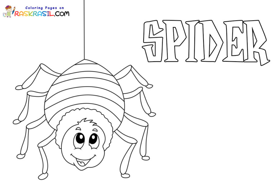 Spiders coloring pages