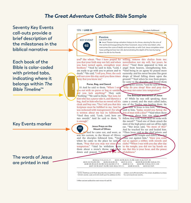 Holy bible the great adventure catholic bible â ascension
