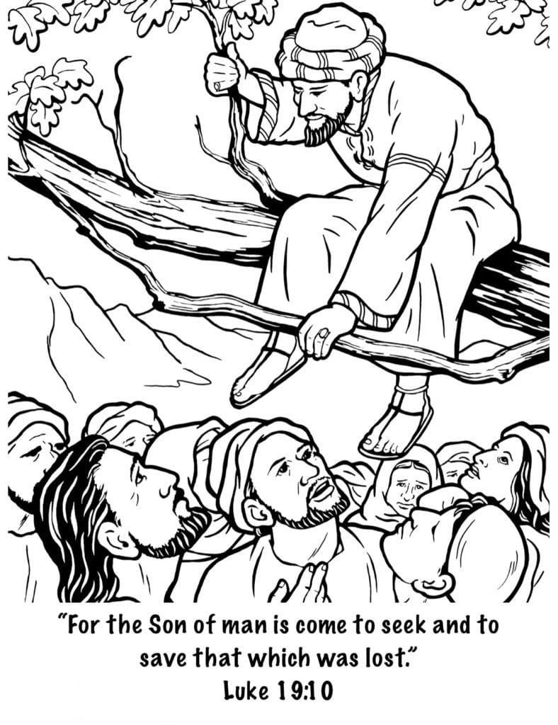 Bible coloring pages