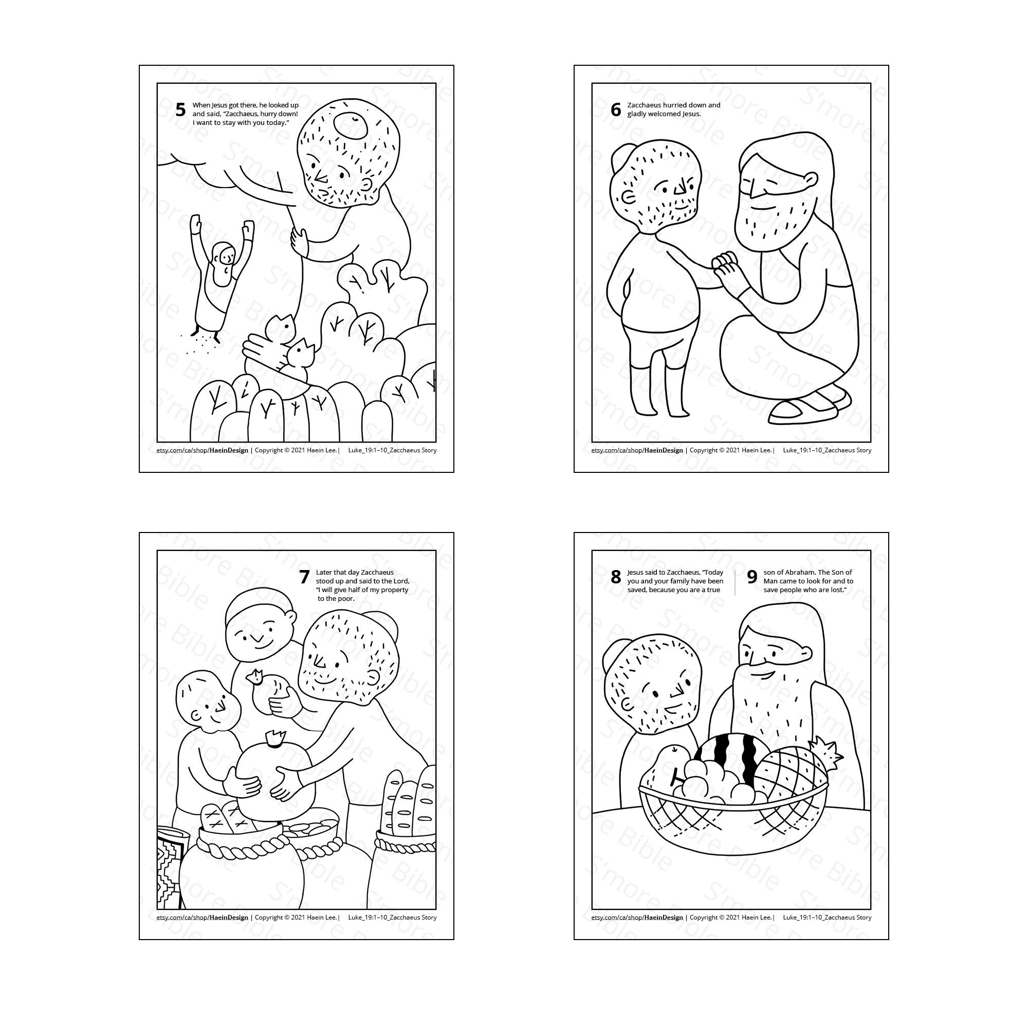 Smore bible childrens bible colouring drawing illustration book with cev bible text zacchaeus luke